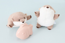 ブルーブルーエジャパン株式会社のプレスリリース画像17