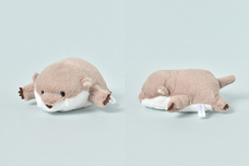 ブルーブルーエジャパン株式会社のプレスリリース画像5