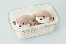 ブルーブルーエジャパン株式会社のプレスリリース画像16