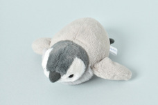 ブルーブルーエジャパン株式会社のプレスリリース画像4