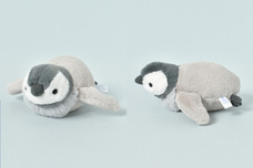 ブルーブルーエジャパン株式会社のプレスリリース画像2