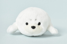 ブルーブルーエジャパン株式会社のプレスリリース画像9