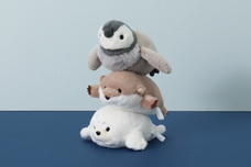 ブルーブルーエジャパン株式会社のプレスリリース画像15