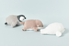 ブルーブルーエジャパン株式会社のプレスリリース画像13