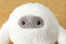 ブルーブルーエジャパン株式会社のプレスリリース画像13