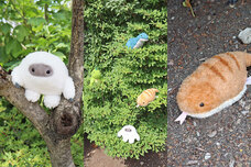 ブルーブルーエジャパン株式会社のプレスリリース画像18