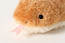 ブルーブルーエジャパン株式会社のプレスリリース画像7