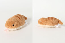 ブルーブルーエジャパン株式会社のプレスリリース画像6