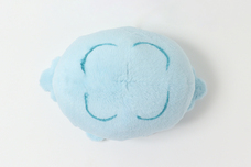 ブルーブルーエジャパン株式会社のプレスリリース画像6