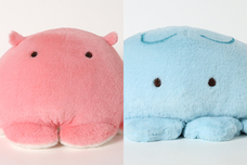 ブルーブルーエジャパン株式会社のプレスリリース画像7