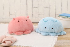 ブルーブルーエジャパン株式会社のプレスリリース画像10