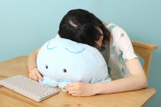 ブルーブルーエジャパン株式会社のプレスリリース画像9