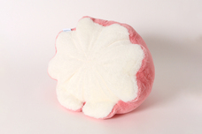 ブルーブルーエジャパン株式会社のプレスリリース画像4