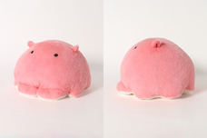 ブルーブルーエジャパン株式会社のプレスリリース画像3