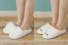 ブルーブルーエジャパン株式会社のプレスリリース画像5