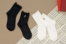 ブルーブルーエジャパン株式会社のプレスリリース画像8