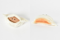 ブルーブルーエジャパン株式会社のプレスリリース画像9