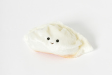 ブルーブルーエジャパン株式会社のプレスリリース画像8