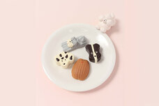 ブルーブルーエジャパン株式会社のプレスリリース画像8