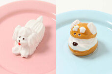 ブルーブルーエジャパン株式会社のプレスリリース画像5