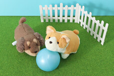 ブルーブルーエジャパン株式会社のプレスリリース画像6