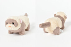 ブルーブルーエジャパン株式会社のプレスリリース画像2