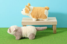 ブルーブルーエジャパン株式会社のプレスリリース画像7