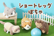 ブルーブルーエジャパン株式会社のプレスリリース画像12