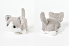 ブルーブルーエジャパン株式会社のプレスリリース画像1