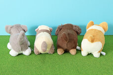 ブルーブルーエジャパン株式会社のプレスリリース画像4