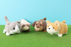 ブルーブルーエジャパン株式会社のプレスリリース画像11