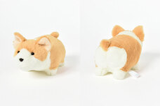 ブルーブルーエジャパン株式会社のプレスリリース画像3