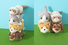 ブルーブルーエジャパン株式会社のプレスリリース画像9