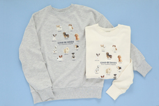 ブルーブルーエジャパン株式会社のプレスリリース画像2