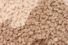 ブルーブルーエジャパン株式会社のプレスリリース画像6