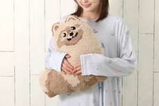 ブルーブルーエジャパン株式会社のプレスリリース画像3