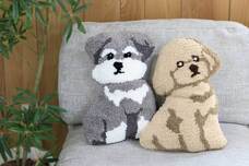 ブルーブルーエジャパン株式会社のプレスリリース画像9