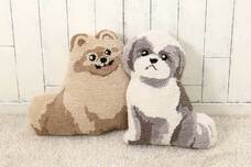 ブルーブルーエジャパン株式会社のプレスリリース画像2