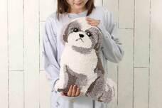 ブルーブルーエジャパン株式会社のプレスリリース画像4