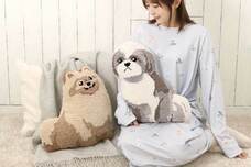 ブルーブルーエジャパン株式会社のプレスリリース画像8