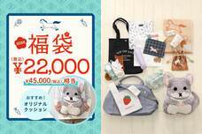 ブルーブルーエジャパン株式会社のプレスリリース画像10