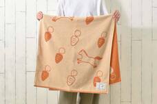 ブルーブルーエジャパン株式会社のプレスリリース画像6