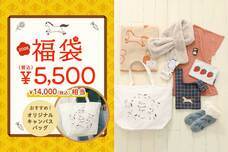 ブルーブルーエジャパン株式会社のプレスリリース画像2