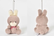 ブルーブルーエジャパン株式会社のプレスリリース画像5