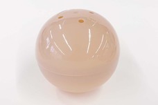 ブルーブルーエジャパン株式会社のプレスリリース画像3