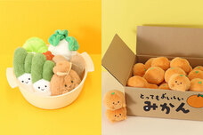 ブルーブルーエジャパン株式会社のプレスリリース画像9