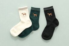 ブルーブルーエジャパン株式会社のプレスリリース画像10