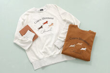 ブルーブルーエジャパン株式会社のプレスリリース画像2