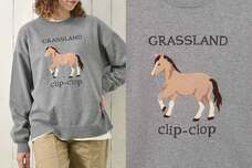 ブルーブルーエジャパン株式会社のプレスリリース画像3