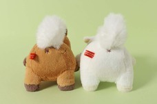 ブルーブルーエジャパン株式会社のプレスリリース画像7